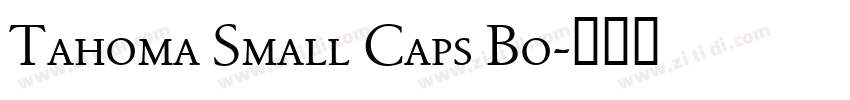 Tahoma Small Caps Bo字体转换
